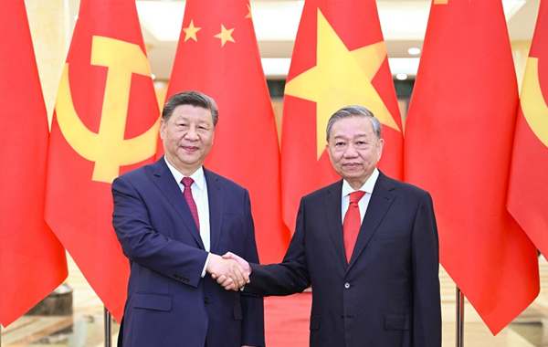 习近平同越共中央总书记苏林举行会谈